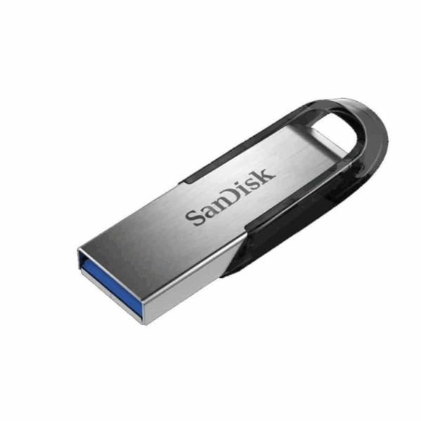 SanDisk flash flair